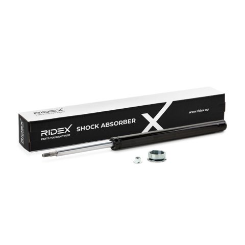 Ridex 854S0666 Shock Absorber, photo 2