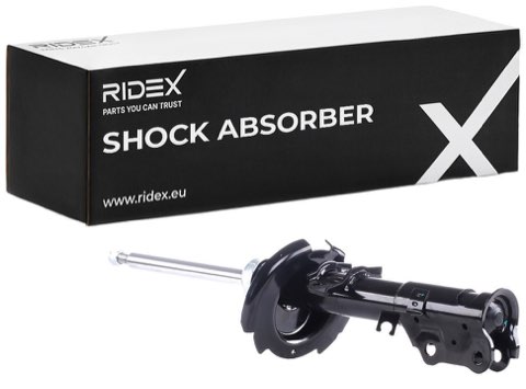 Ridex 854S0703 Shock Absorber, photo 2