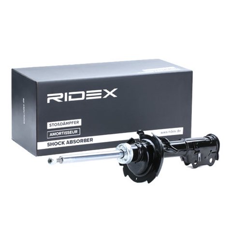 Ridex 854S0703 Shock Absorber, photo 3