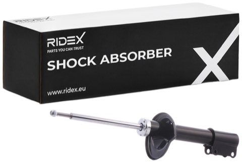 Ridex 854S0731 Shock Absorber, photo 2