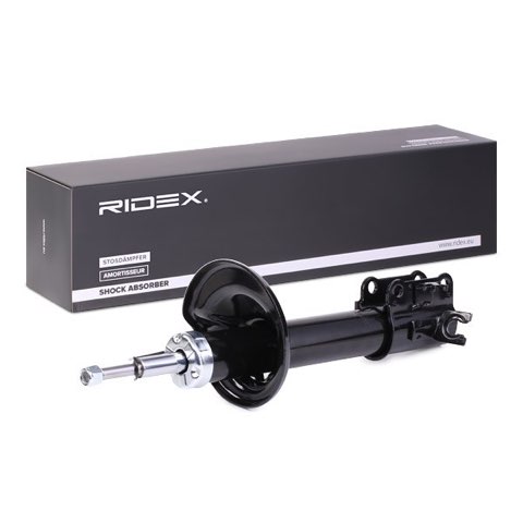 Ridex 854S0731 Shock Absorber, photo 3