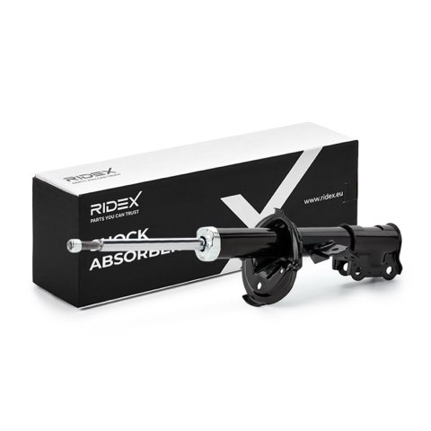 Ridex 854S0738 Shock Absorber, photo 2