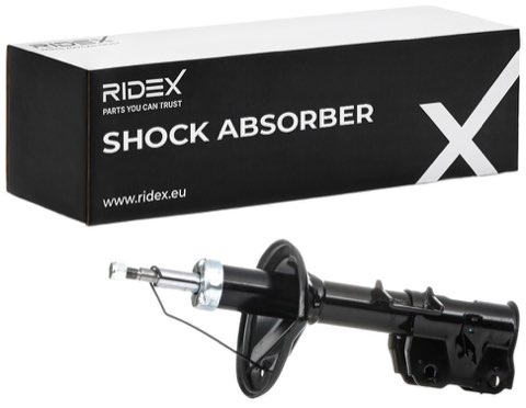 Ridex 854S0745 Shock Absorber, photo 2
