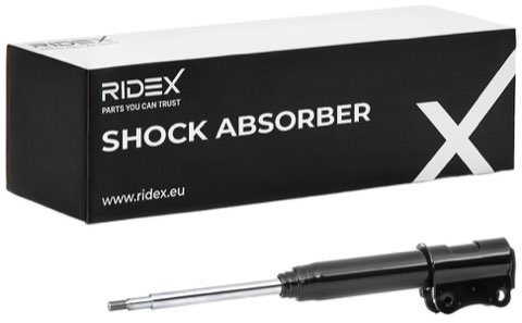 Ridex 854S0757 Shock Absorber, photo 2