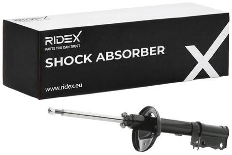 Ridex 854S0766 Shock Absorber, photo 2