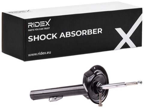 Ridex 854S0770 Shock Absorber, photo 2