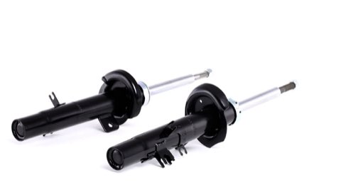 Ridex 854S0805 Shock Absorber