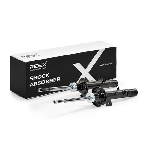 Ridex 854S0805 Shock Absorber, photo 2