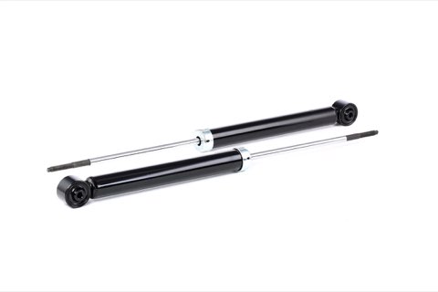 Ridex 854S0808 Shock Absorber