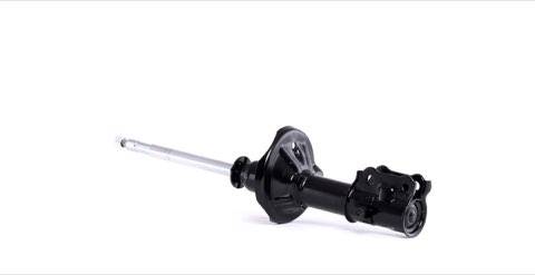 Ridex 854S0810 Shock Absorber
