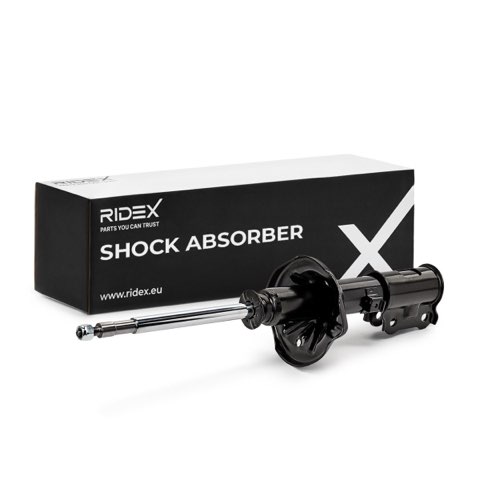 Ridex 854S0810 Shock Absorber, photo 2