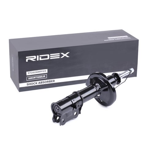 Ridex 854S0810 Shock Absorber, photo 3