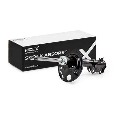 Ridex 854S0855 Shock Absorber, photo 2