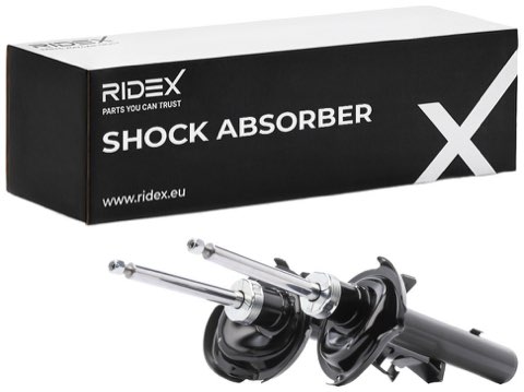 Ridex 854S0884 Shock Absorber, photo 2