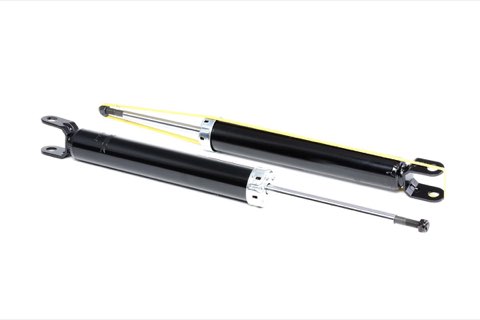 Ridex 854S0891 Shock Absorber