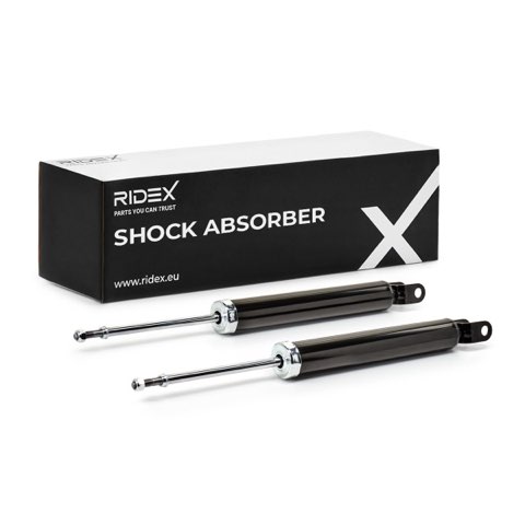 Ridex 854S0891 Shock Absorber, photo 2