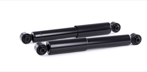 Ridex 854S0896 Shock Absorber