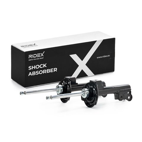 Ridex 854S0915 Shock Absorber, photo 2