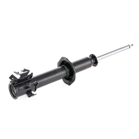 Ridex 854S0955 Shock Absorber, photo 3