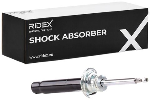 Ridex 854S0994 Shock Absorber, photo 2