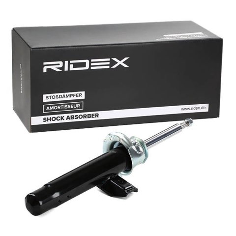 Ridex 854S0994 Shock Absorber, photo 3