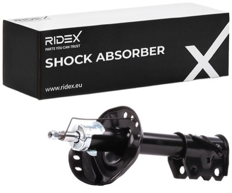 Ridex 854S1063 Shock Absorber, photo 2