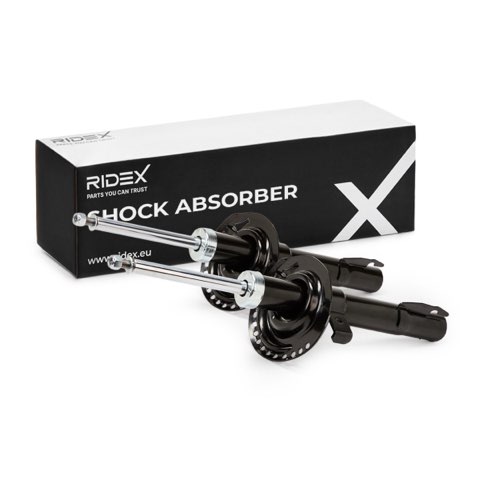 Ridex 854S1068 Shock Absorber, photo 2