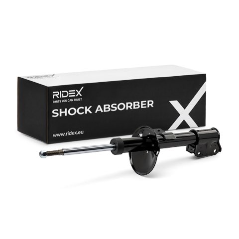 Ridex 854S1103 Shock Absorber, photo 2
