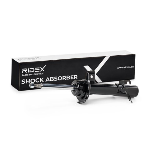 Ridex 854S1138 Shock Absorber, photo 2