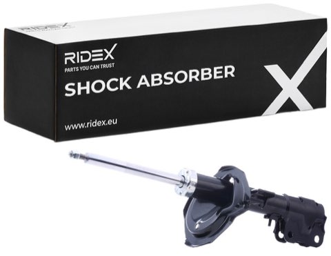 Ridex 854S1186 Shock Absorber, photo 2