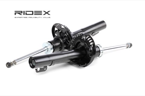 Ridex 854S1248 Shock Absorber