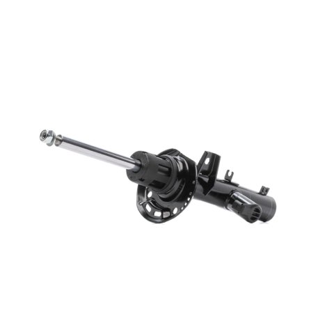 Ridex 854S1319 Shock Absorber