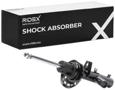 Ridex 854S1319 Shock Absorber, photo 2