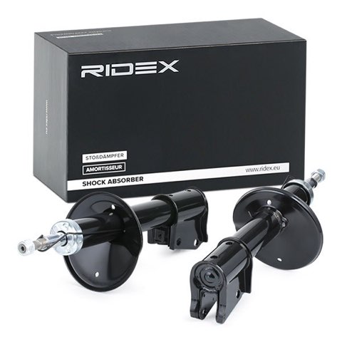 Ridex 854S1343 Shock Absorber, photo 2