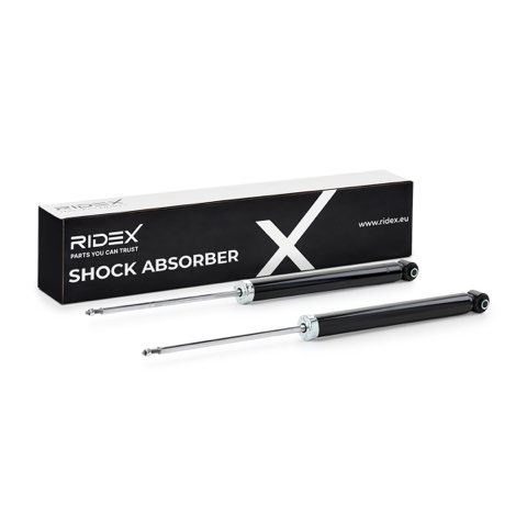 Ridex 854S1361 Shock Absorber, photo 2