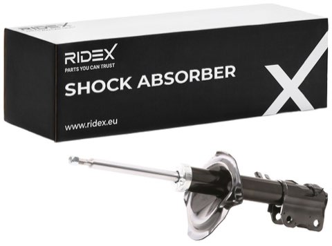 Ridex 854S1375 Shock Absorber, photo 2