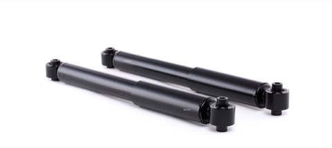 Ridex 854S1380 Shock Absorber