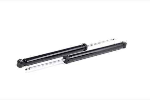 Ridex 854S1531 Shock Absorber