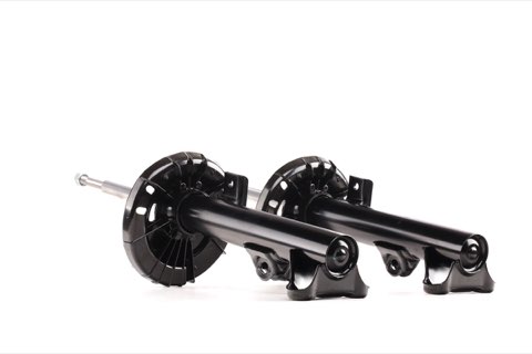 Ridex 854S1534 Shock Absorber
