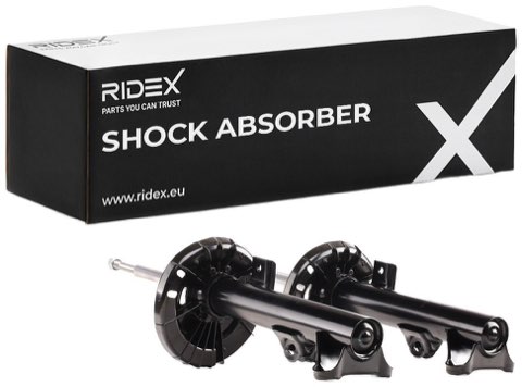 Ridex 854S1534 Shock Absorber, photo 2