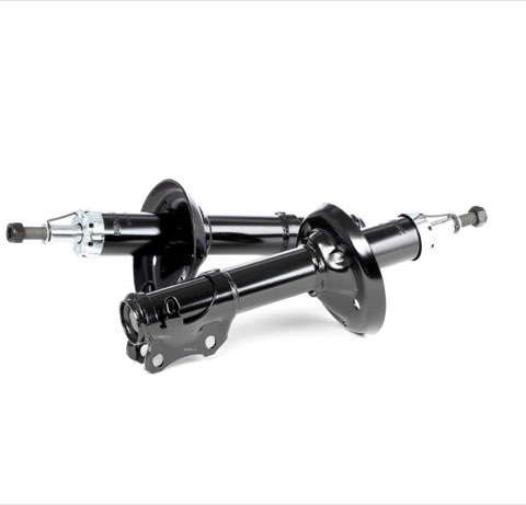 Ridex 854S1535 Shock Absorber