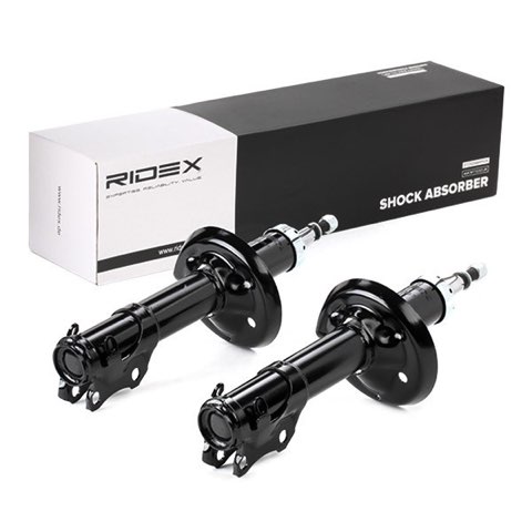 Ridex 854S1535 Shock Absorber, photo 2