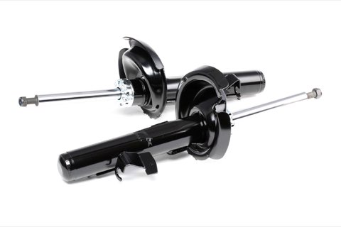 Ridex 854S1542 Shock Absorber