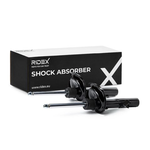 Ridex 854S1542 Shock Absorber, photo 2