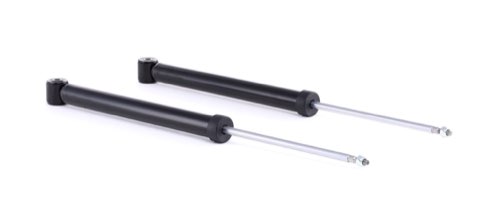 Ridex 854S1543 Shock Absorber
