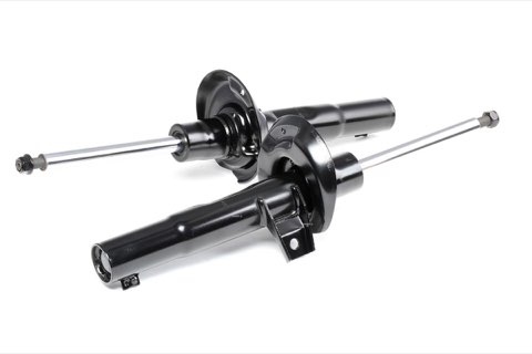 Ridex 854S1546 Shock Absorber