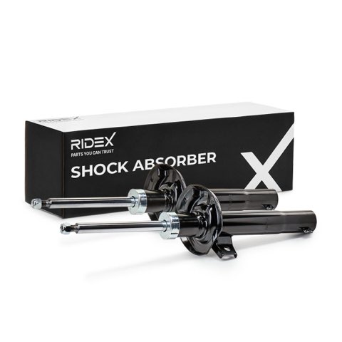 Ridex 854S1546 Shock Absorber, photo 2