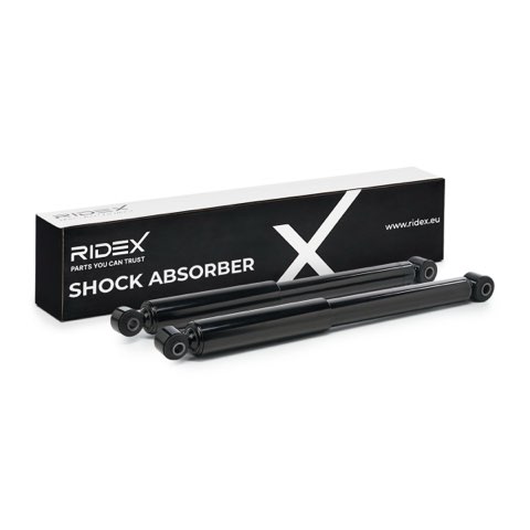 Ridex 854S1549 Shock Absorber, photo 2