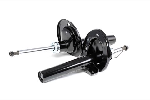 Ridex 854S1551 Shock Absorber