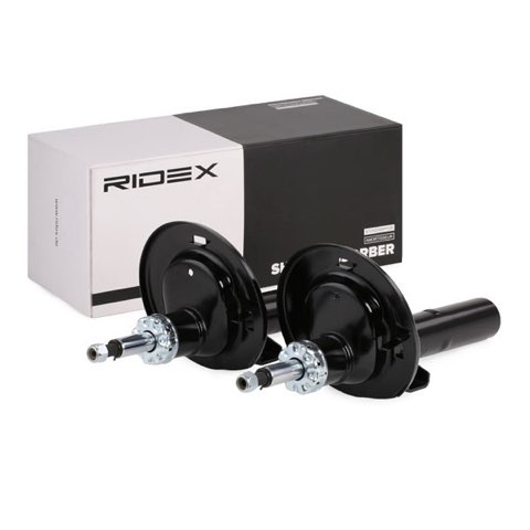 Ridex 854S1551 Shock Absorber, photo 3